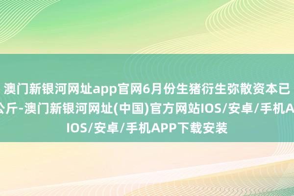 澳门新银河网址app官网6月份生猪衍生弥散资本已接近14元/公斤-澳门新银河网址(中国)官方网站IOS/安卓/手机APP下载安装