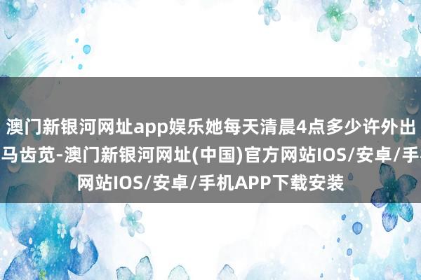 澳门新银河网址app娱乐她每天清晨4点多少许外出到郊外寻找野生马齿苋-澳门新银河网址(中国)官方网站IOS/安卓/手机APP下载安装