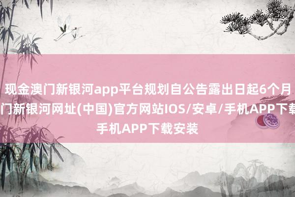 现金澳门新银河app平台规划自公告露出日起6个月内-澳门新银河网址(中国)官方网站IOS/安卓/手机APP下载安装