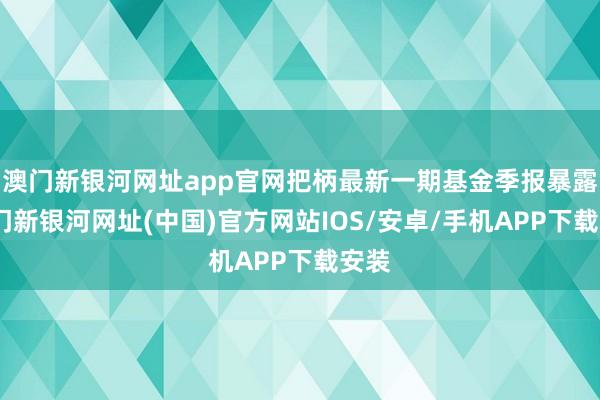 澳门新银河网址app官网把柄最新一期基金季报暴露-澳门新银河网址(中国)官方网站IOS/安卓/手机APP下载安装