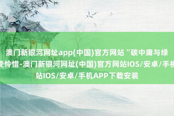 澳门新银河网址app(中国)官方网站“碳中庸与绿色转型之是以受怜惜-澳门新银河网址(中国)官方网站IOS/安卓/手机APP下载安装