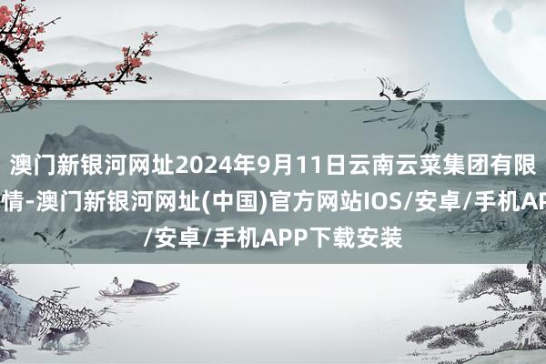 澳门新银河网址2024年9月11日云南云菜集团有限公司价钱行情-澳门新银河网址(中国)官方网站IOS/安卓/手机APP下载安装