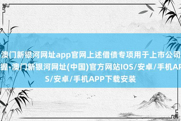 澳门新银河网址app官网上述借债专项用于上市公司股票回购增握-澳门新银河网址(中国)官方网站IOS/安卓/手机APP下载安装