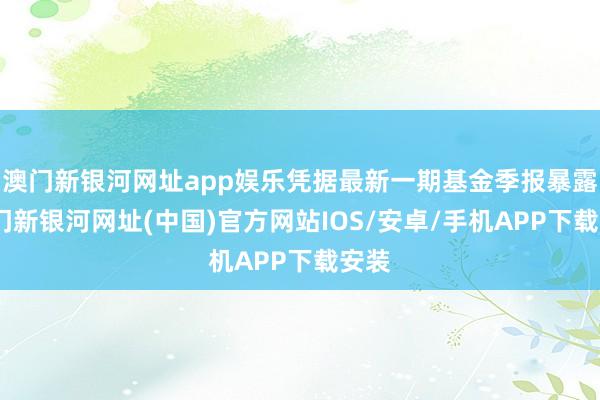 澳门新银河网址app娱乐凭据最新一期基金季报暴露-澳门新银河网址(中国)官方网站IOS/安卓/手机APP下载安装