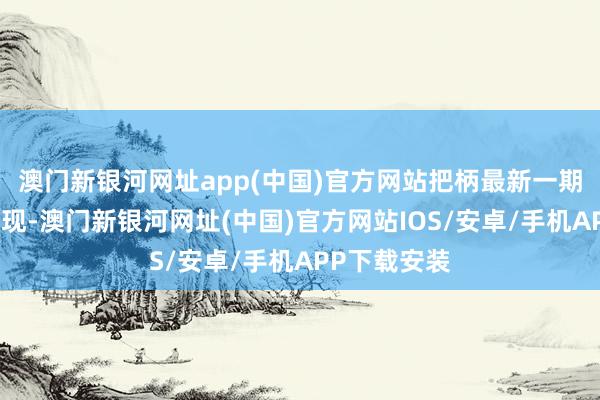 澳门新银河网址app(中国)官方网站把柄最新一期基金季报浮现-澳门新银河网址(中国)官方网站IOS/安卓/手机APP下载安装