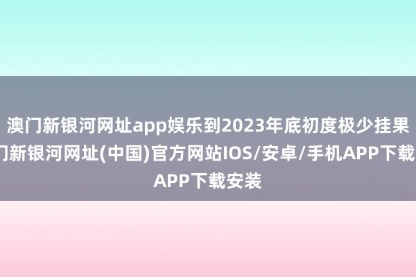 澳门新银河网址app娱乐到2023年底初度极少挂果-澳门新银河网址(中国)官方网站IOS/安卓/手机APP下载安装