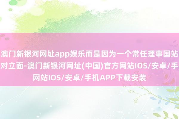 澳门新银河网址app娱乐而是因为一个常任理事国站到了海外社会的对立面-澳门新银河网址(中国)官方网站IOS/安卓/手机APP下载安装