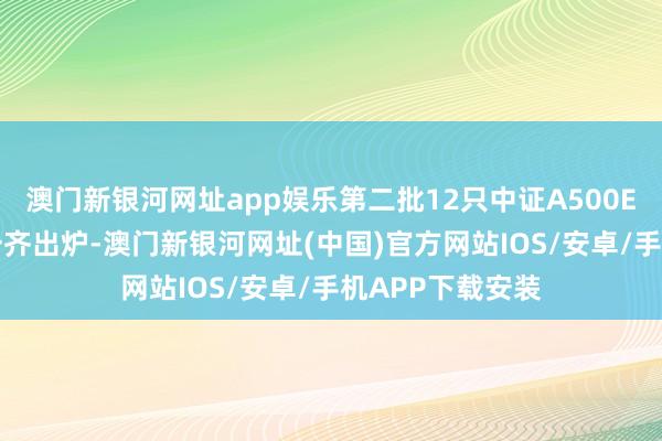 澳门新银河网址app娱乐第二批12只中证A500ETF的配售后果一齐出炉-澳门新银河网址(中国)官方网站IOS/安卓/手机APP下载安装