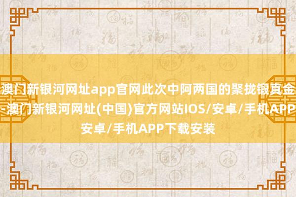 澳门新银河网址app官网此次中阿两国的聚拢锻真金不怕火中-澳门新银河网址(中国)官方网站IOS/安卓/手机APP下载安装