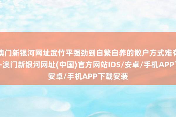 澳门新银河网址武竹平强劲到自繁自养的散户方式难有“钱”途-澳门新银河网址(中国)官方网站IOS/安卓/手机APP下载安装