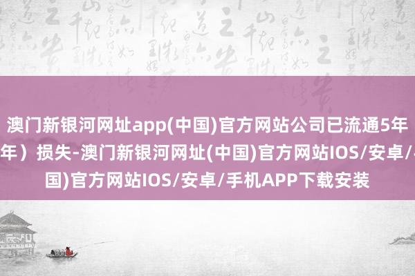 澳门新银河网址app(中国)官方网站公司已流通5年（2019年至2023年）损失-澳门新银河网址(中国)官方网站IOS/安卓/手机APP下载安装