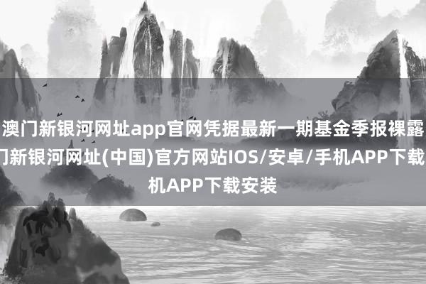 澳门新银河网址app官网凭据最新一期基金季报裸露-澳门新银河网址(中国)官方网站IOS/安卓/手机APP下载安装