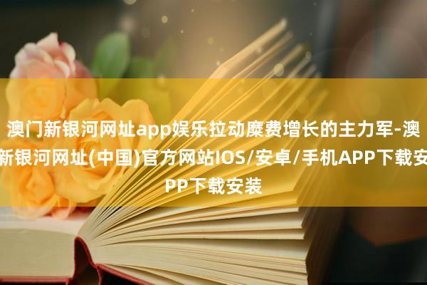 澳门新银河网址app娱乐拉动糜费增长的主力军-澳门新银河网址(中国)官方网站IOS/安卓/手机APP下载安装