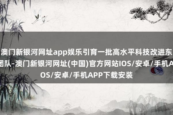 澳门新银河网址app娱乐引育一批高水平科技改进东说念主才及团队-澳门新银河网址(中国)官方网站IOS/安卓/手机APP下载安装