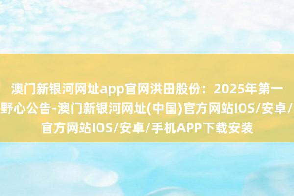 澳门新银河网址app官网洪田股份：2025年第一次临时激动大会有野心公告-澳门新银河网址(中国)官方网站IOS/安卓/手机APP下载安装