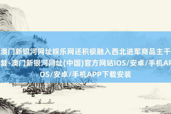 澳门新银河网址娱乐网还积极融入西北进军商品主干流通走廊修复-澳门新银河网址(中国)官方网站IOS/安卓/手机APP下载安装